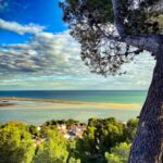 Les coussoules vue depuis falaise 2 1200x1920
