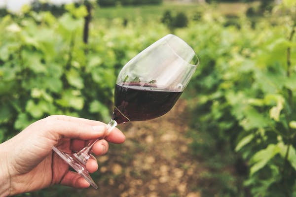 verre de vin rouge vigne